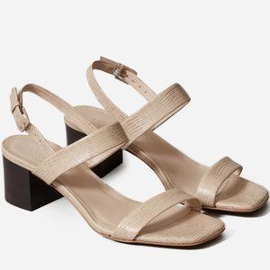 NWT Everlane Double Strap Block Heel Sandal Sand